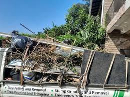 Best Carpet Removal and Disposal  in Juno Ridge, FL